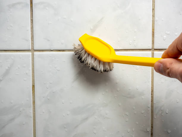 Mold Removal and Inspection in Holladay, UT