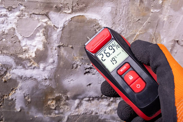 Best Mold Testing  in Holladay, UT